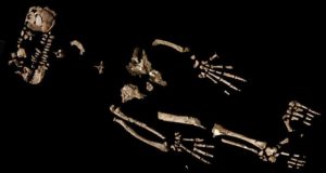 A 4.4 million year old skeleton could reveal how early humans began to walk upright