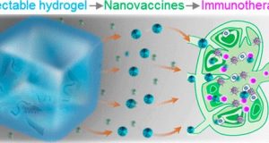 An mRNA vaccine for cancer immunotherapy
