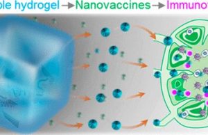 An mRNA vaccine for cancer immunotherapy