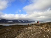 Arctic permafrost releases more carbon dioxide than once believed