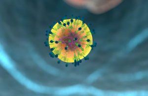 Cells use concentration gradients as a compass