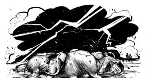 Climate change likely drove the extinction of North Americas largest animals