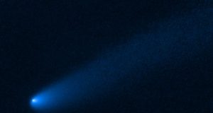 Comet makes a pit stop near Jupiters asteroids