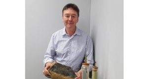 Common mineral could be key to tackling climate change