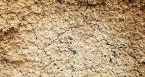 Corn belt farmland has lost a third of its carbon rich soil