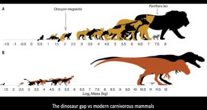 Did teenage tyrants outcompete other dinosaurs 1