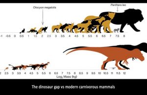Did teenage tyrants outcompete other dinosaurs 1
