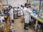 Discoveries at the edge of the periodic table First ever measurements of einsteinium