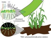 Engineering light availability for crop production