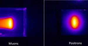 First images of muon beams