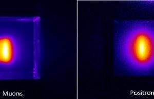 First images of muon beams