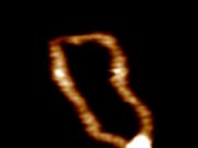 First videos to show the helix of dancing DNA developed by scientists1