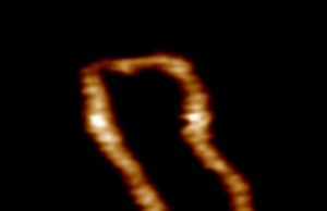 First videos to show the helix of dancing DNA developed by scientists1