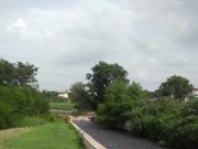 Global study of 48 cities finds nature sanitizes 41.7 million tons of human waste a year Global study of 48 cities finds nature sanitizes 41.7 million tons of human waste a year