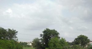 Global study of 48 cities finds nature sanitizes 41.7 million tons of human waste a year