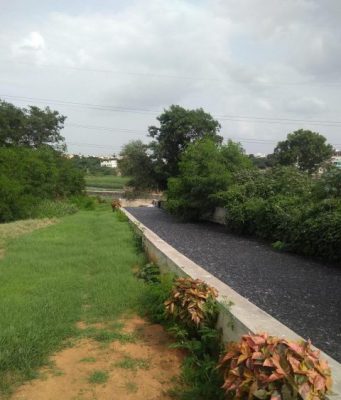 Global study of 48 cities finds nature sanitizes 41.7 million tons of human waste a year