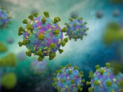 How SARS CoV 2 mutates to escape antibody binding