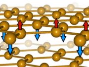 Magnetic graphene forms a new kind of magnetism