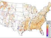 More trees do not always create a cooler planet geographer finds