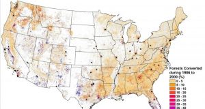 More trees do not always create a cooler planet geographer finds