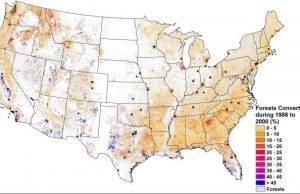 More trees do not always create a cooler planet geographer finds