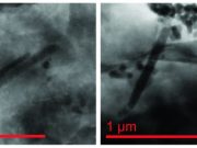 Mysterious magnetic fossils offer past climate clues