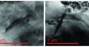 Mysterious magnetic fossils offer past climate clues