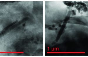 Mysterious magnetic fossils offer past climate clues