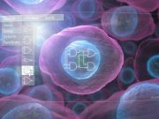 New technology enables predictive design of engineered human cells New technology enables predictive design of engineered human cells