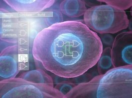 New technology enables predictive design of engineered human cells