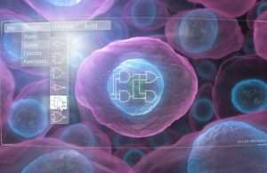 New technology enables predictive design of engineered human cells