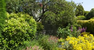 Pioneering research reveals gardens are secret powerhouse for pollinators