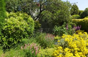 Pioneering research reveals gardens are secret powerhouse for pollinators