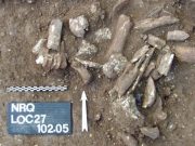 Prehistoric bone etchings believed to be among oldest evidence of human use of symbols