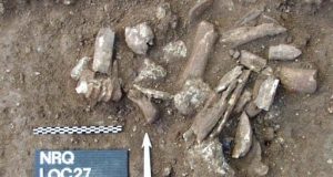 Prehistoric bone etchings believed to be among oldest evidence of human use of symbols