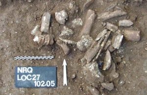 Prehistoric bone etchings believed to be among oldest evidence of human use of symbols
