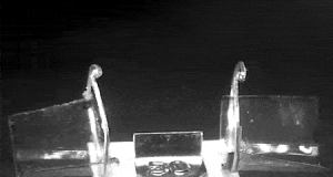 Researchers develop high torque light powered actuator