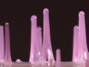 Researchers grow artificial hairs with clever physics trick Researchers grow artificial hairs with clever physics trick