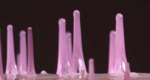 Researchers grow artificial hairs with clever physics trick