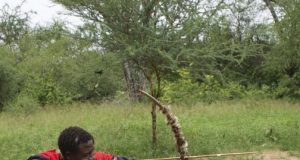 Researchers take aim at the evolution of traditional technologies