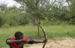 Researchers take aim at the evolution of traditional technologies