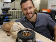 Scientists create armour for fragile quantum technology