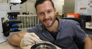 Scientists create armour for fragile quantum technology