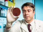 Scientists identify how harmless gut bacteria turn bad