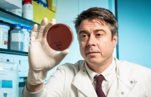 Scientists identify how harmless gut bacteria turn bad