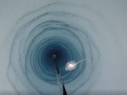 Strange creatures accidentally discovered beneath Antarcticas ice shelves