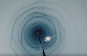 Strange creatures accidentally discovered beneath Antarcticas ice shelves