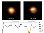 Study of supergiant star Betelgeuse unveils the cause of its pulsations