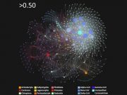 Study predicts where new coronaviruses might originate