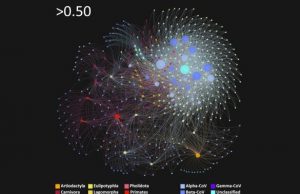 Study predicts where new coronaviruses might originate